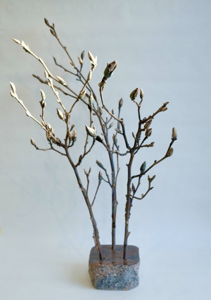 A93E6975-2D9B-43C1-8EF4-5A39DE6DC2EC_1_201_a