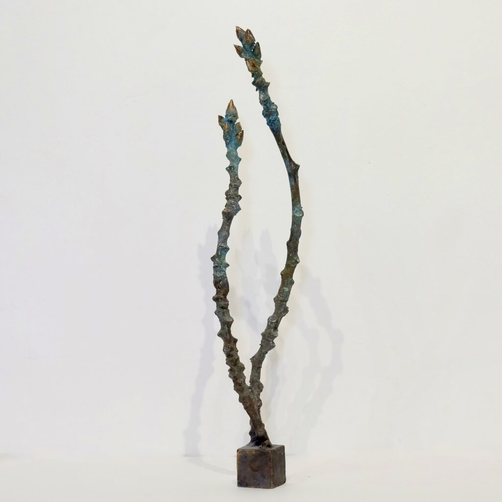 F5BF3555-8DE9-4246-BF92-85A3EDD5C4E5_1_201_a