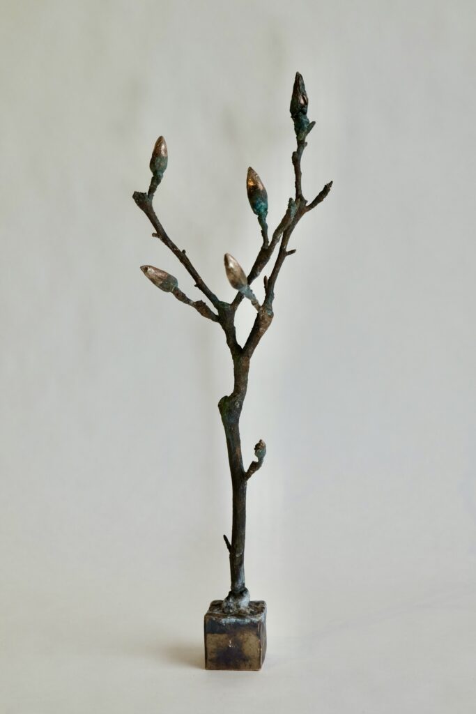 2320FE09-B6AD-48C9-B7AB-B38F2643CC09_1_201_a