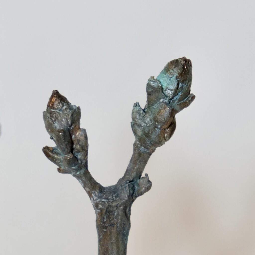 28822380-3377-43EC-9C20-F0C9E0BF6EF5_1_201_a