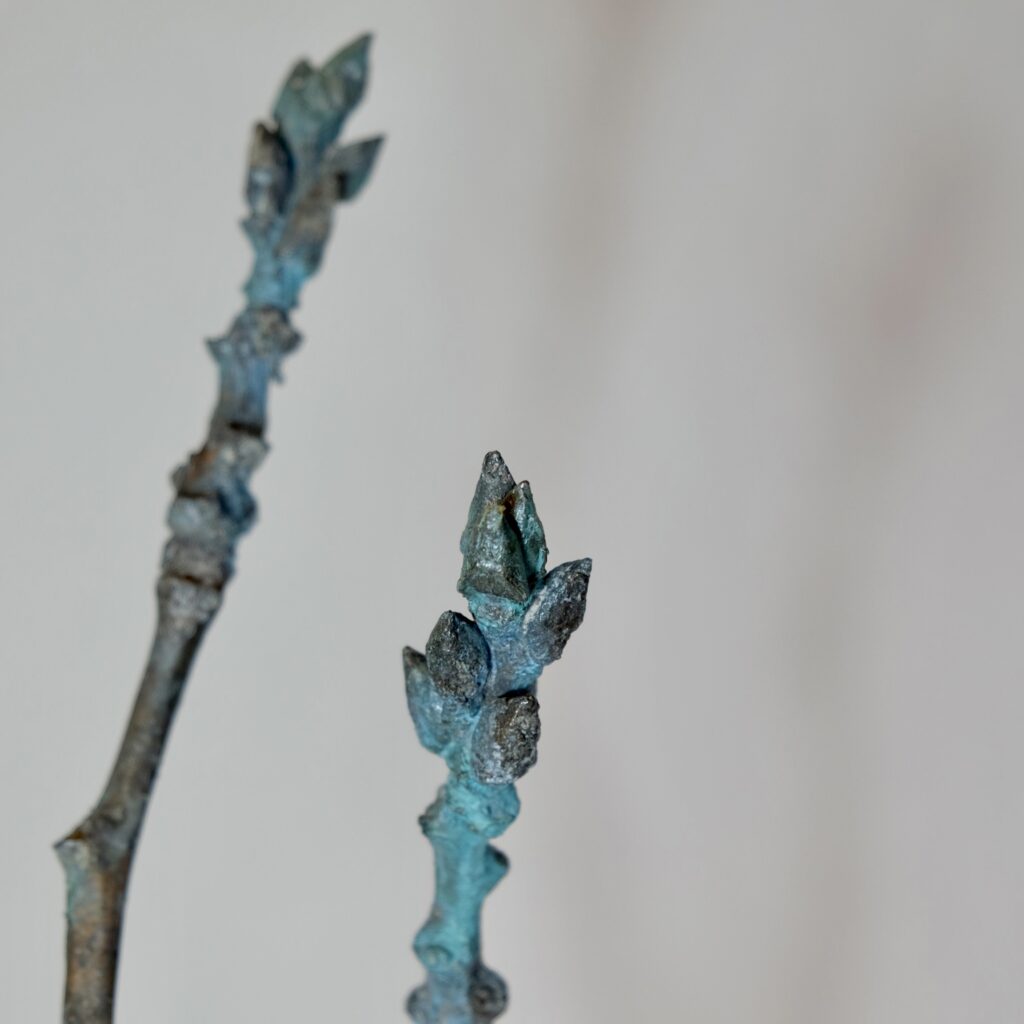 475A7DC5-7513-4C49-B663-3D923E5D9DD8_1_201_a