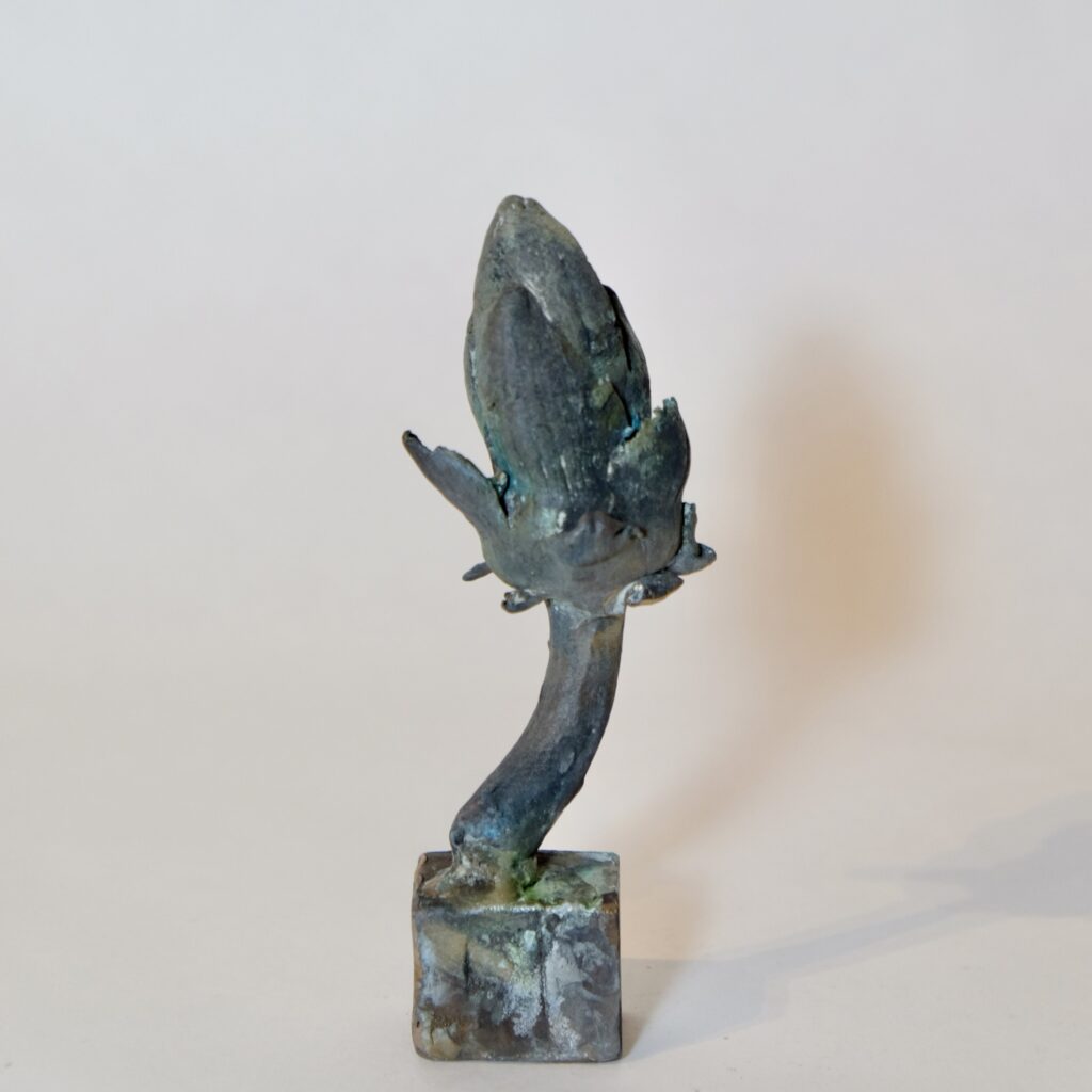 690F7AD4-9080-4E8A-90C9-86B4B9557D9B_1_201_a