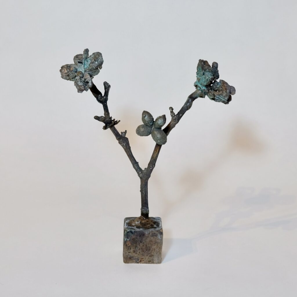 8500CEA4-7787-4B23-8D17-A60FAD0C07DE_1_201_a