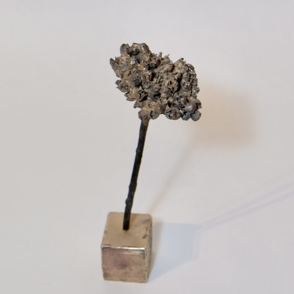 AEC39506-9926-4B59-B4D7-AC5F4EEEFBF6_1_201_a