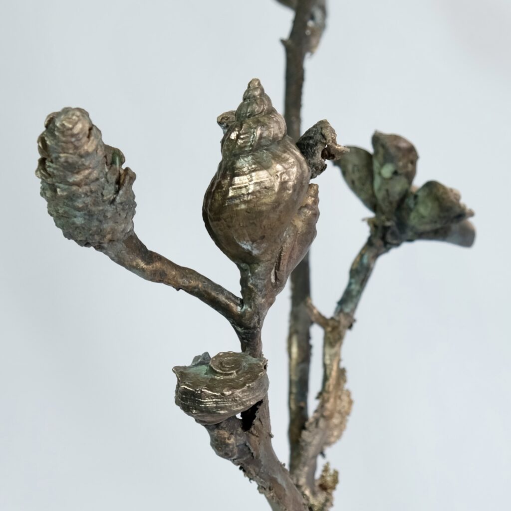 06CDC2CC-B6CE-479A-9286-B7816B8071B4_1_201_a