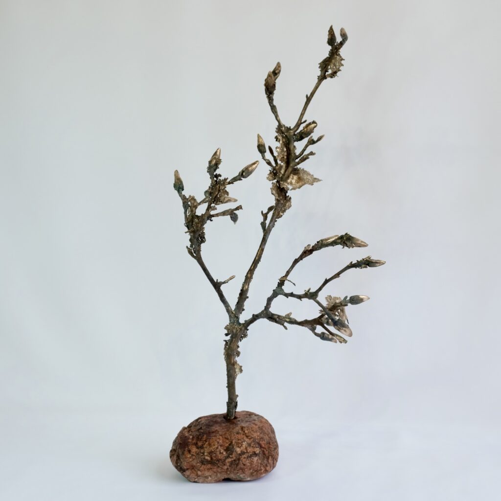 0BFBE38D-68C0-4E31-B9FB-098CECC193C1_1_201_a