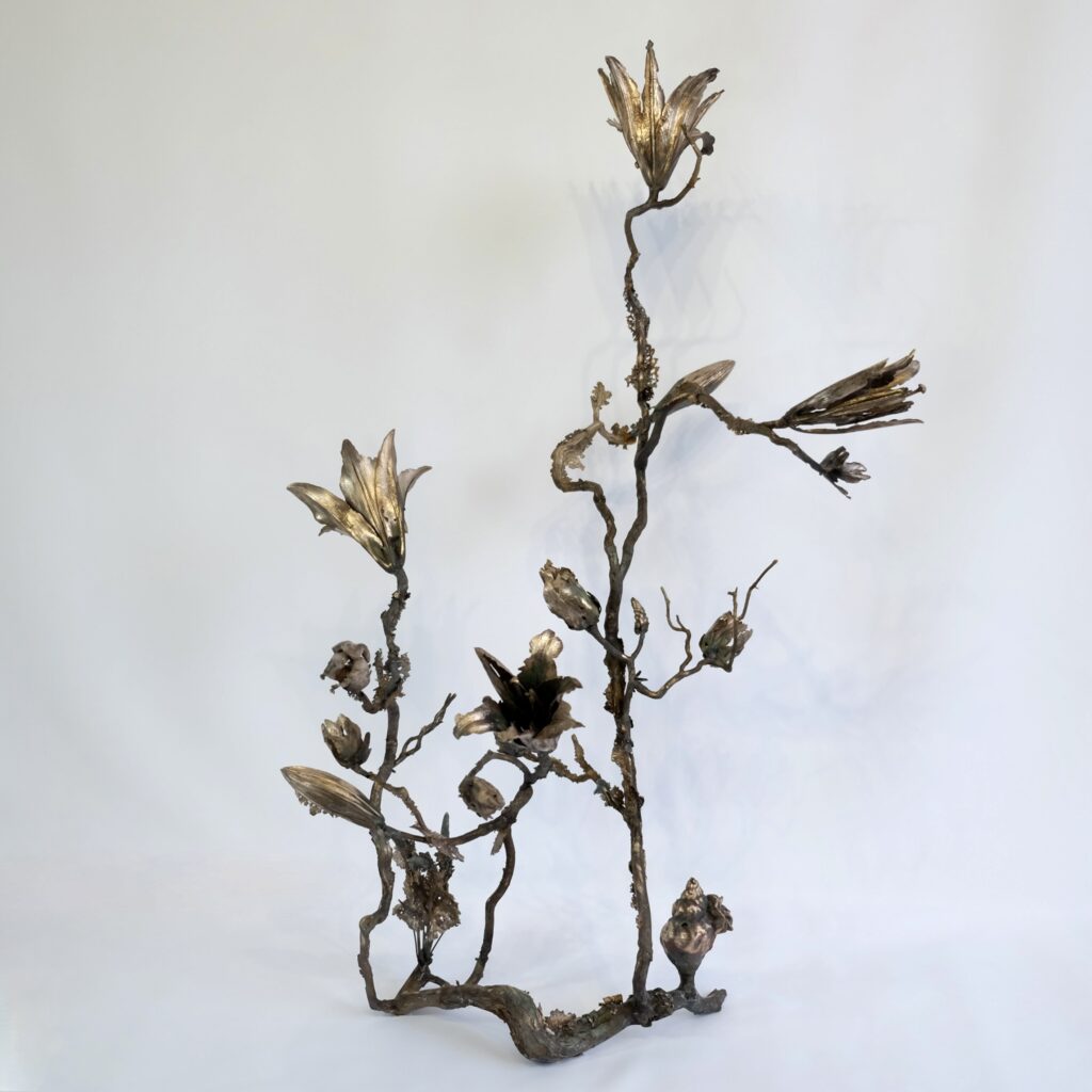 25865165-EB0C-434B-A7A1-DCB830A5E99E_1_201_a