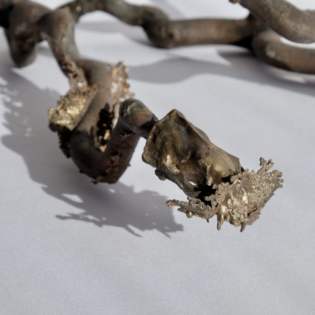 268F6E48-0785-4EF8-B04B-18E253F40143_1_201_a