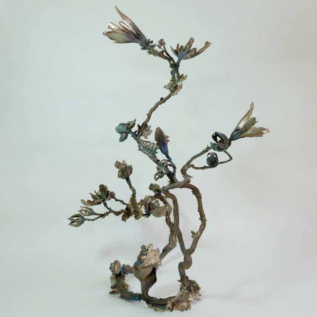 5FDA80F5-721A-42F5-92AC-6C494EEA7E81_1_201_a