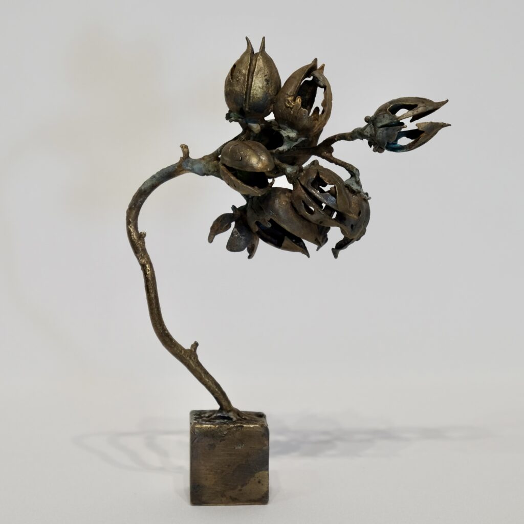 650B98E8-6611-4F1B-8D35-D1323F976893_1_201_a