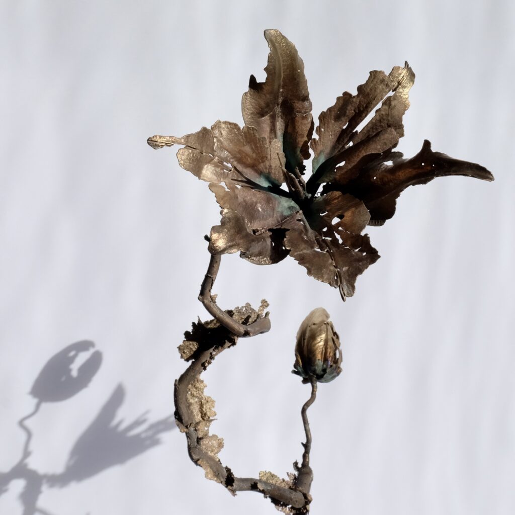 7455F94B-1652-49F4-B309-F170B7260AD9_1_201_a