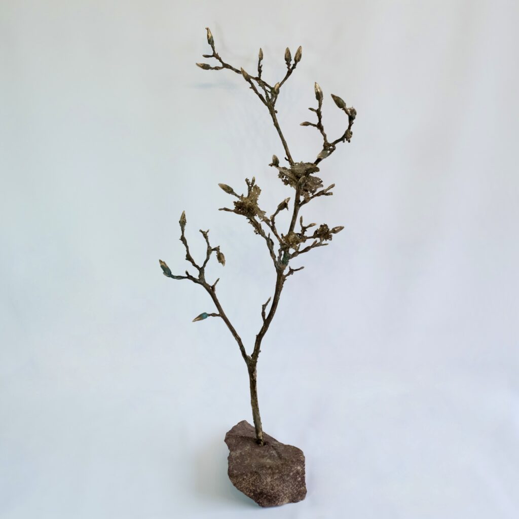 7CBB5F35-6458-444E-9A30-FEF1D986211C_1_201_a