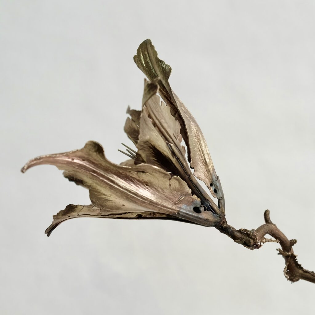 856D1400-3A24-4CCA-917B-6DB02A0B473B_1_201_a