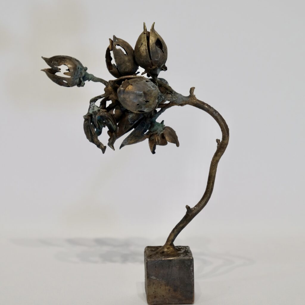 985F2811-52A5-4E5F-B5D2-7F361B49EC61_1_201_a