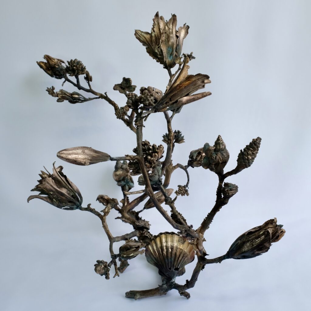 B4159606-87AC-4D9B-B481-C484258F5D97_1_201_a