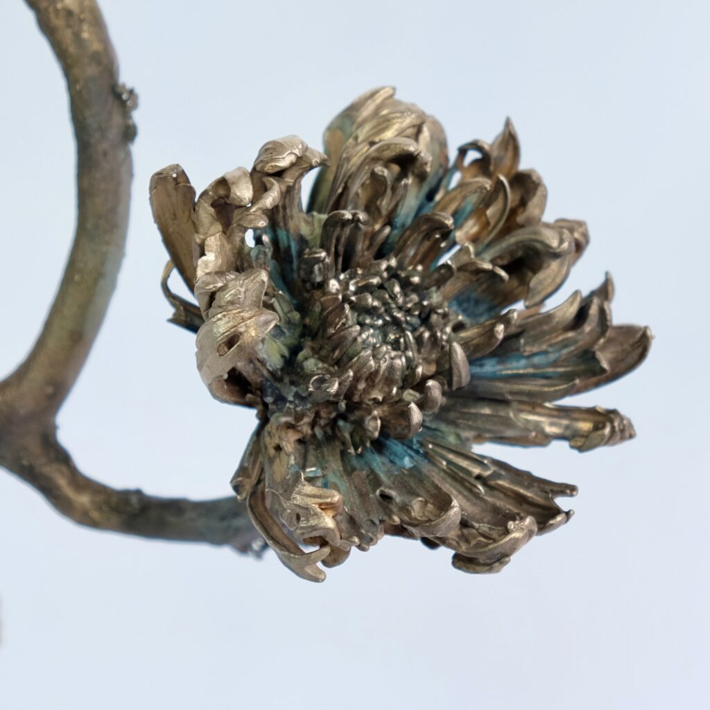 C54CFA51-1DEA-4611-9B7C-DF73B4CC4496_1_201_a