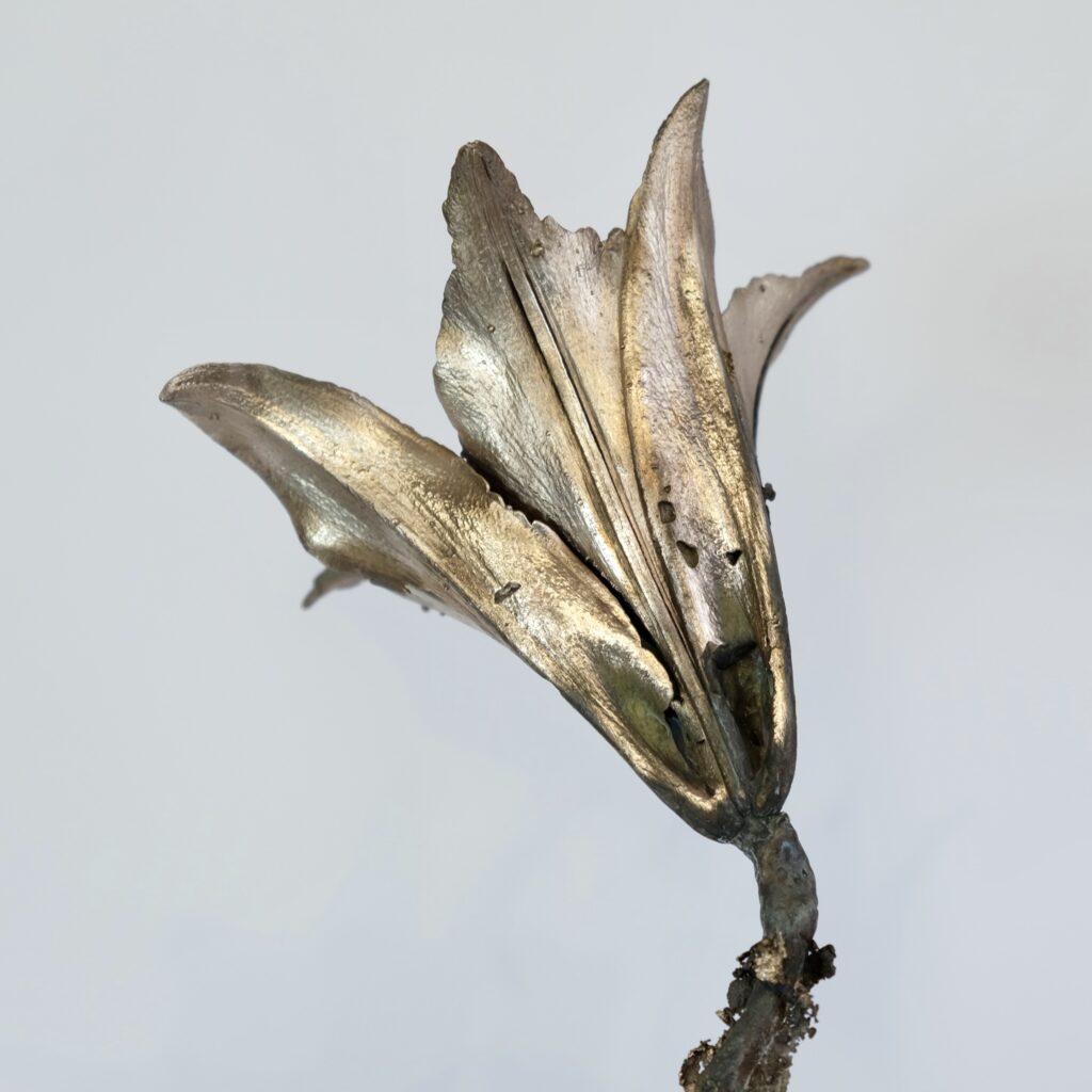 C78BA1DF-01BB-45F5-B584-474B8E9B0732_1_201_a