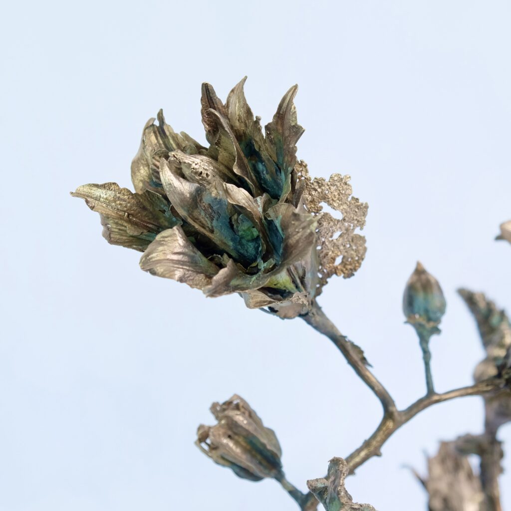 E01C3683-6E76-438B-B276-1EC5BD4670D0_1_201_a