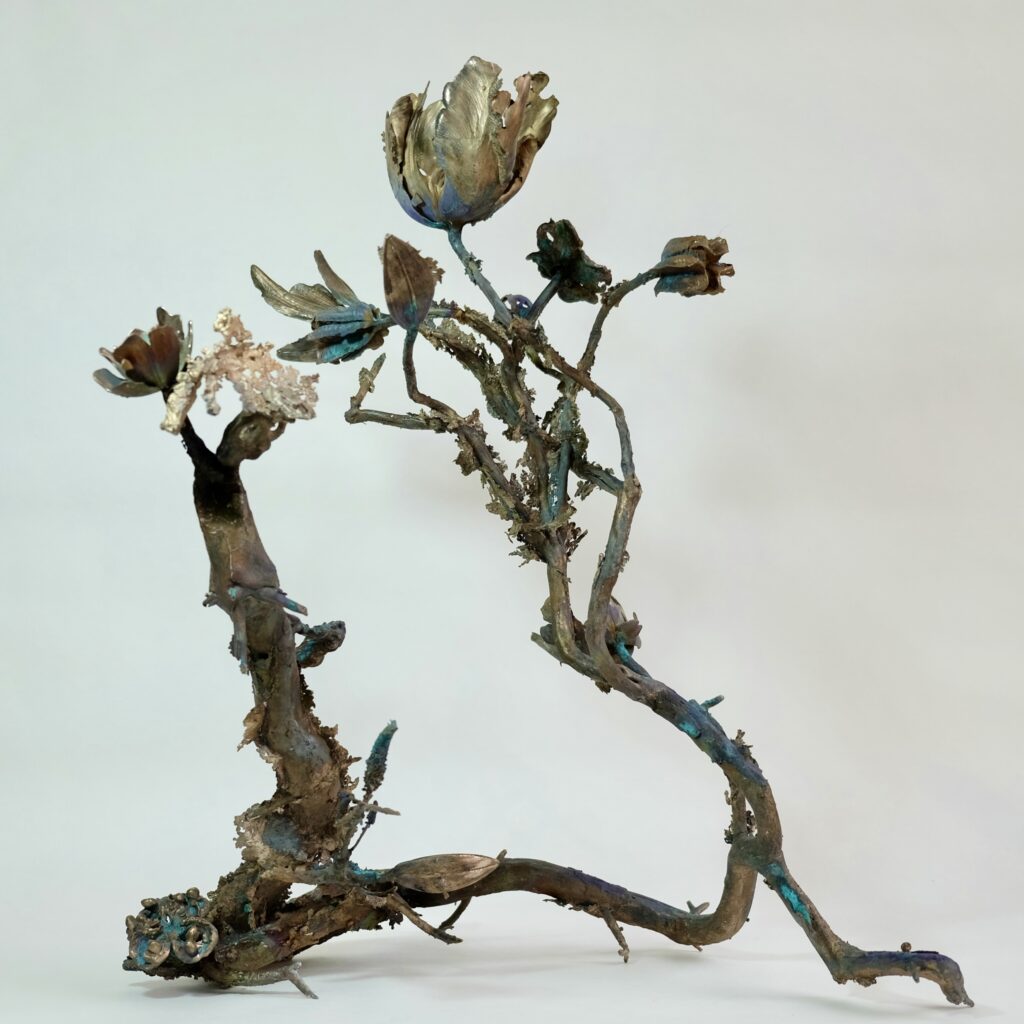 E360323E-0EA5-4B6D-9097-BAA034FD7AC7_1_201_a