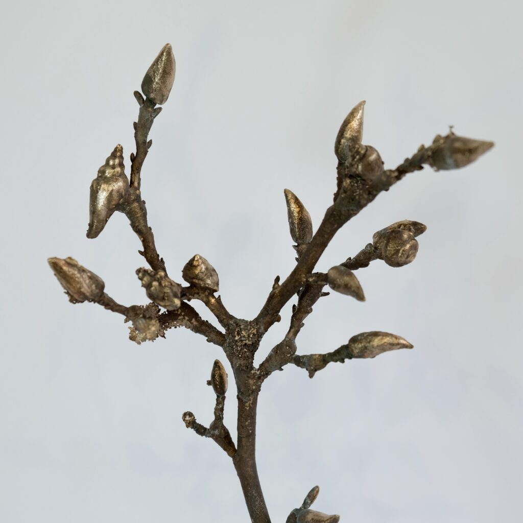 E824025E-36D4-449B-833B-356637A180AF_1_201_a