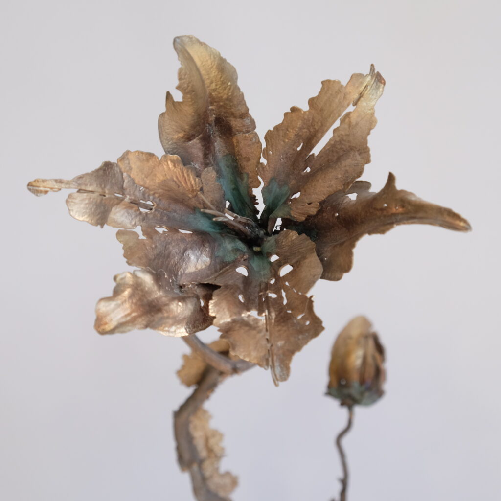 E8D2CBF4-5843-4BED-A7C6-AD26D31ADE4F